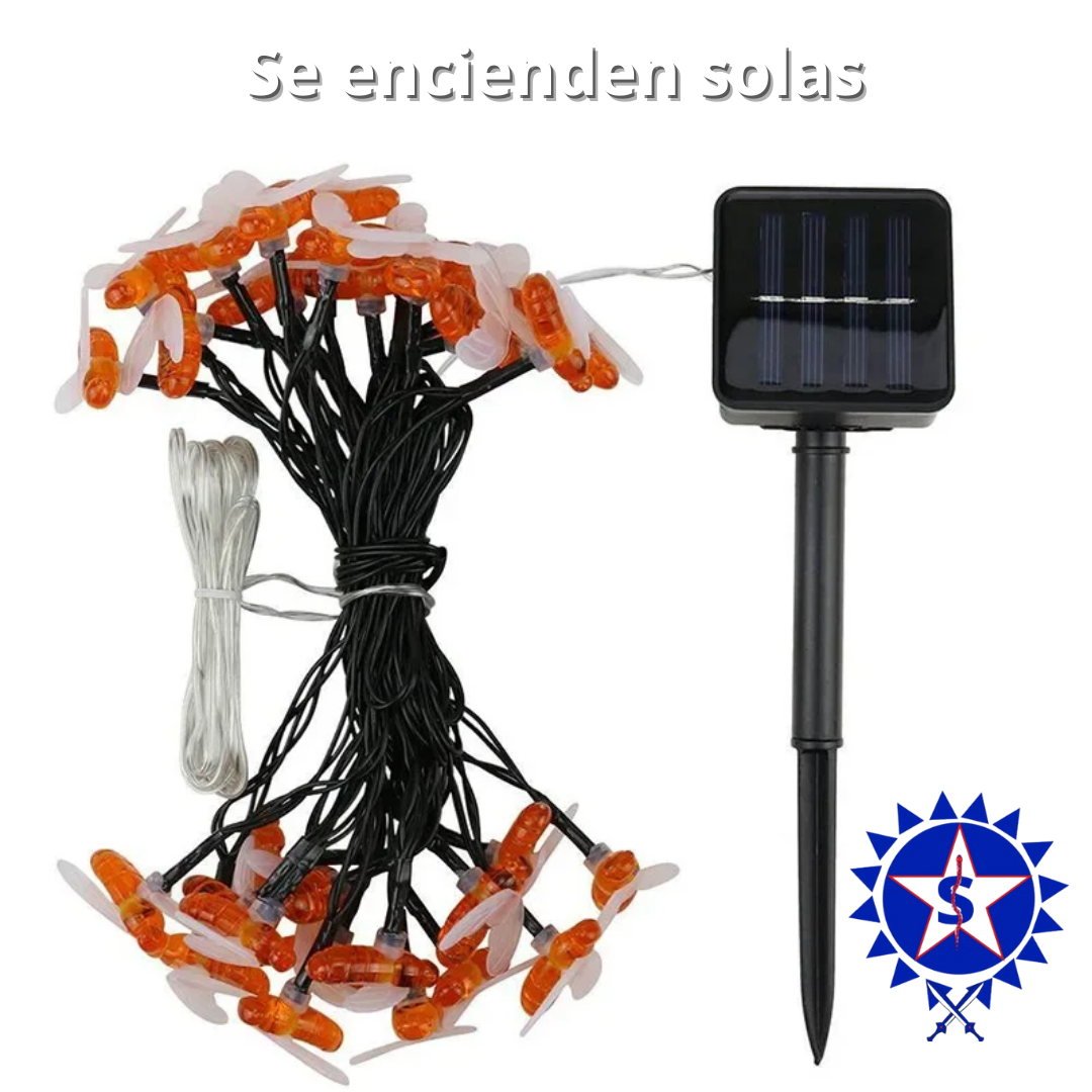 SunBee®⭐⭐⭐⭐⭐